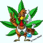 Pavoweed